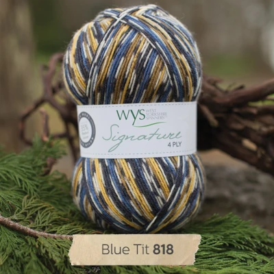 West_Yorkshire_Spinners_Signature_4ply_Country_Birds_818_Blue_Tit