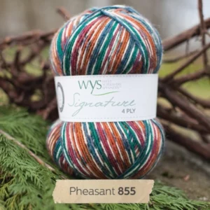 West_Yorkshire_Spinners_Signature_4ply_Country_Birds_855_Pheasant