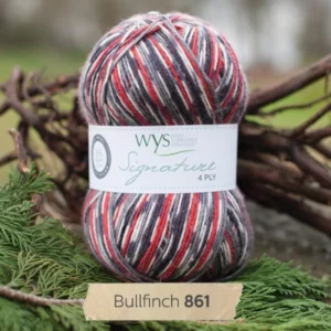 West_Yorkshire_Spinners_Signature_4ply_Country_Birds_861_Bullfinch