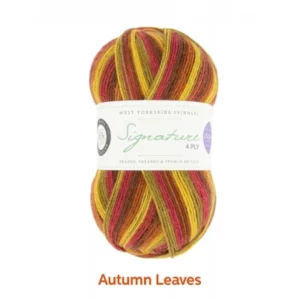 West_Yorkshire_Spinners_Signature_4ply_Seasons_Autumn_Leaves